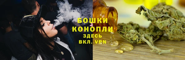 СК Арсеньев