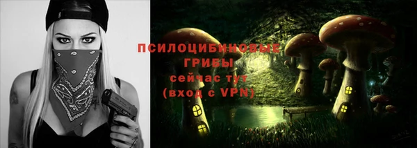 винт Армянск
