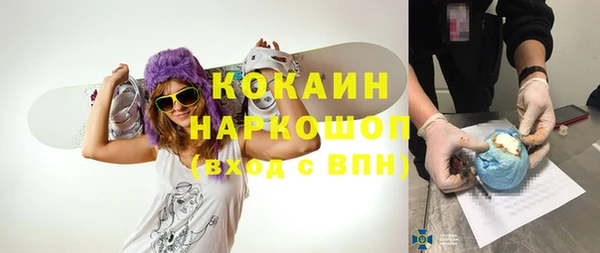 гидра Аркадак