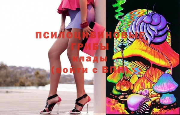 СК Арсеньев