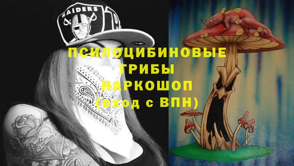 гидра Аркадак