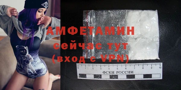 гидра Аркадак